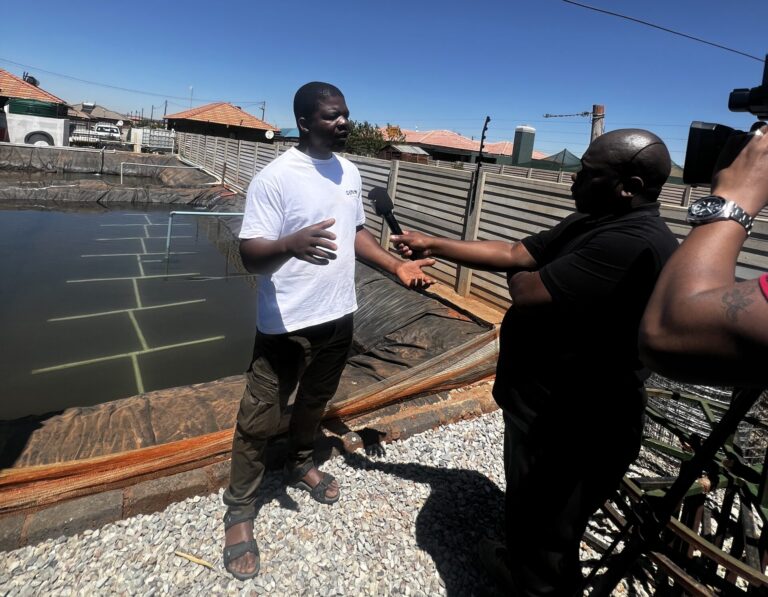 Z2B Aquaponics Farm Featured on SABC’s “Stories Untold”